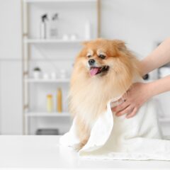 Dermocosmetic special shampoos